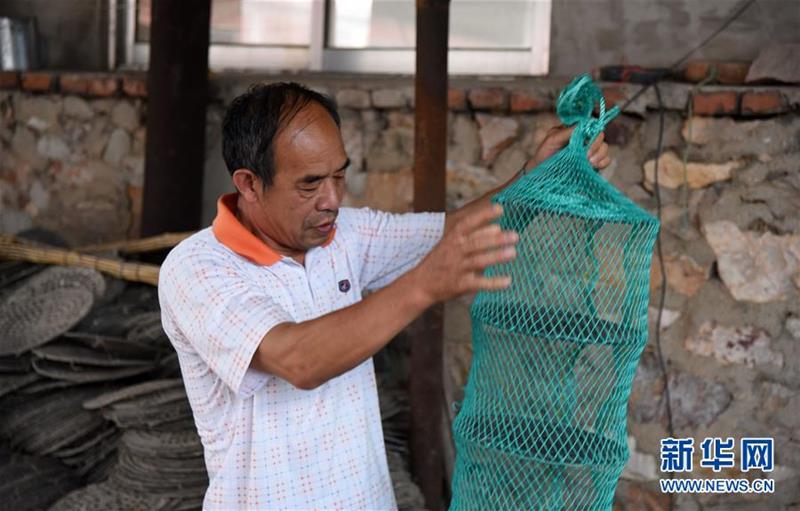 (走向我們的小康生活·圖文互動(dòng))(8)長島漁民的扇貝喜事:從請(qǐng)客求人買到供不應(yīng)求