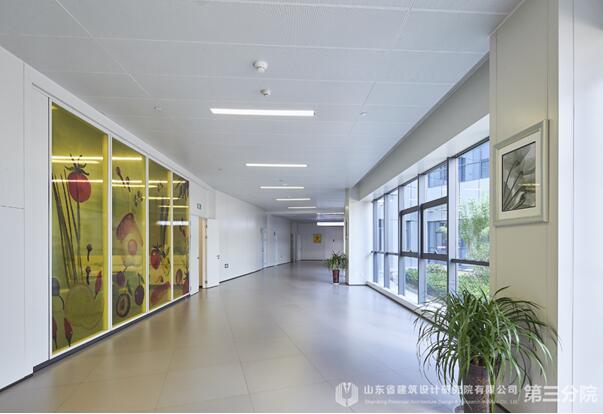 生命之花，為愛(ài)綻放——專(zhuān)訪(fǎng)棗莊婦幼設(shè)計(jì)“掌舵人”王崗