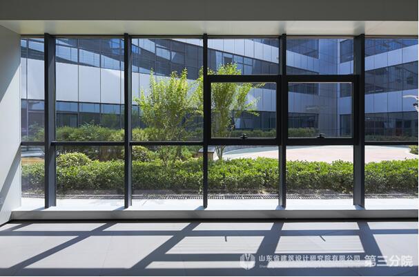 生命之花，為愛(ài)綻放——專(zhuān)訪(fǎng)棗莊婦幼設(shè)計(jì)“掌舵人”王崗