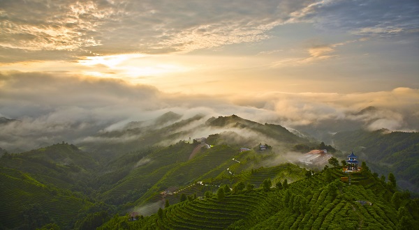 a0d2f28519c4673c460f5ba1a5b9df21359401.jpg 5.jpg