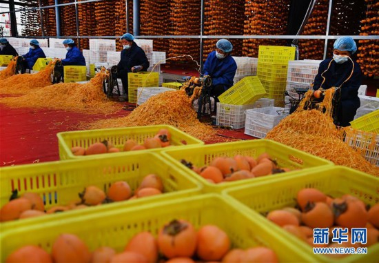 （經(jīng)濟(jì)）（2）“富平杮餅”加工忙 