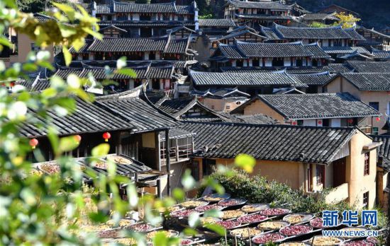 （美麗中國）（5）福建尤溪：詩意桂峰 曬秋人家