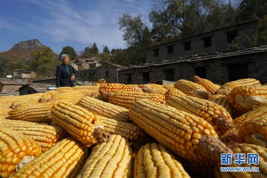 （社會）（5）茶舊溝村：傳統(tǒng)村落古韻來