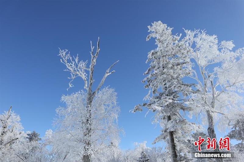吉林北大湖高山霧凇宛如仙境