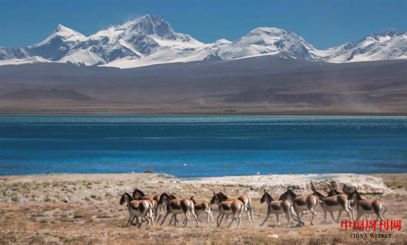 微信圖片_20201228153634.png 微信圖片_20201228153634.png