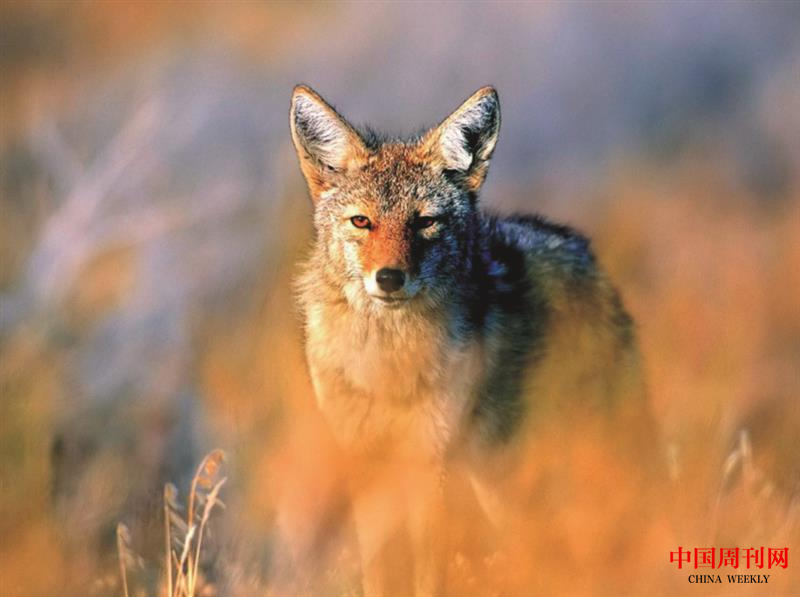 微信圖片_20201228153638.png 微信圖片_20201228153638.png