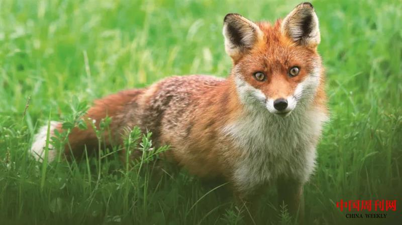 微信圖片_20201228153642.jpg 微信圖片_20201228153642.jpg