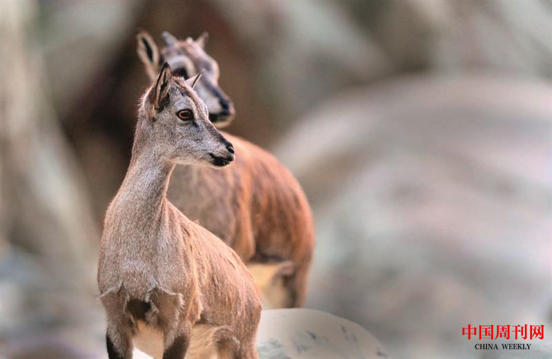 微信圖片_20201228153645.png 微信圖片_20201228153645.png