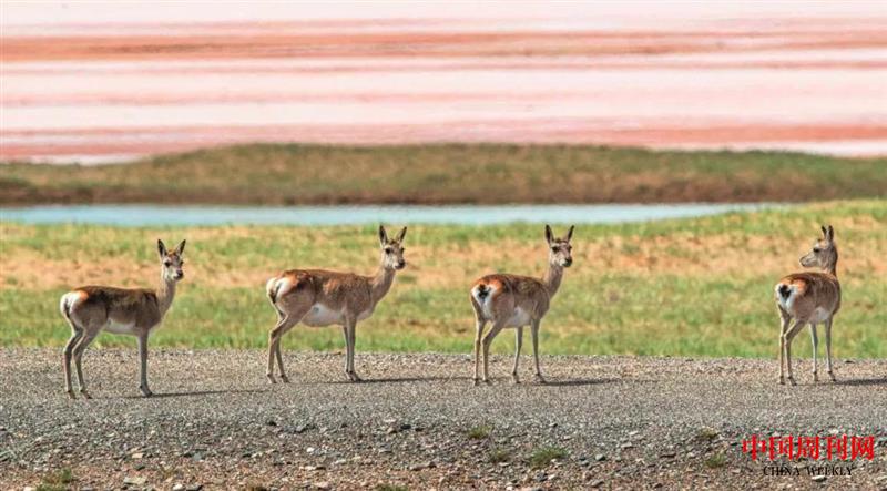 微信圖片_20201228153649.jpg 微信圖片_20201228153649.jpg