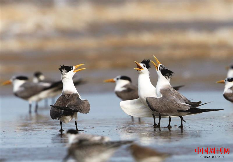 微信圖片_20201228153700.png 微信圖片_20201228153700.png