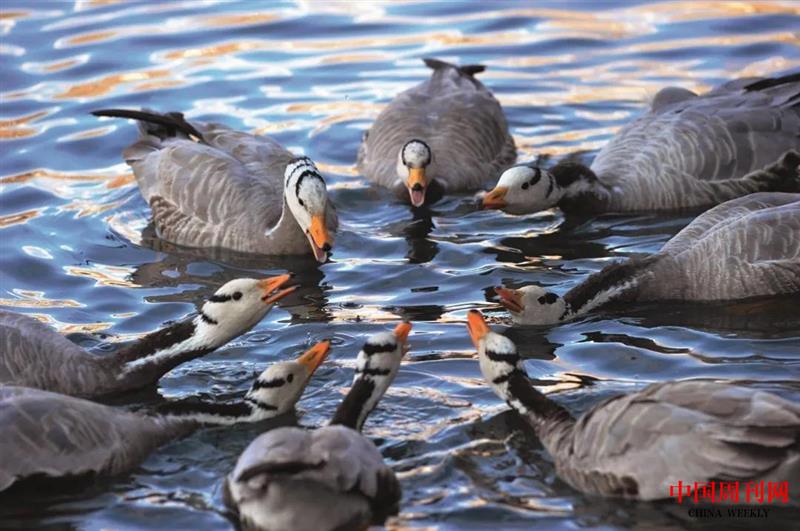 微信圖片_20201228153708.jpg 微信圖片_20201228153708.jpg