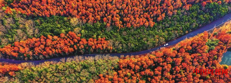 微信圖片_20210322143143.png 微信圖片_20210322143143.png