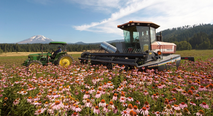 安利健康中國(guó)