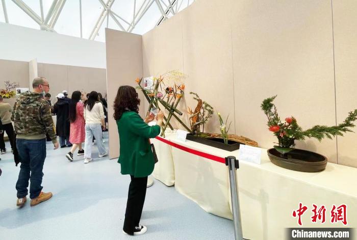 民眾參觀插花競(jìng)賽作品展?！⌒焐荷?攝