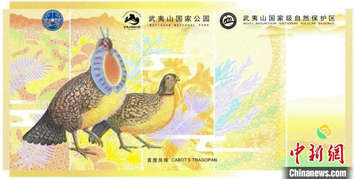 武夷山貨幣文化券背面 供圖 攝