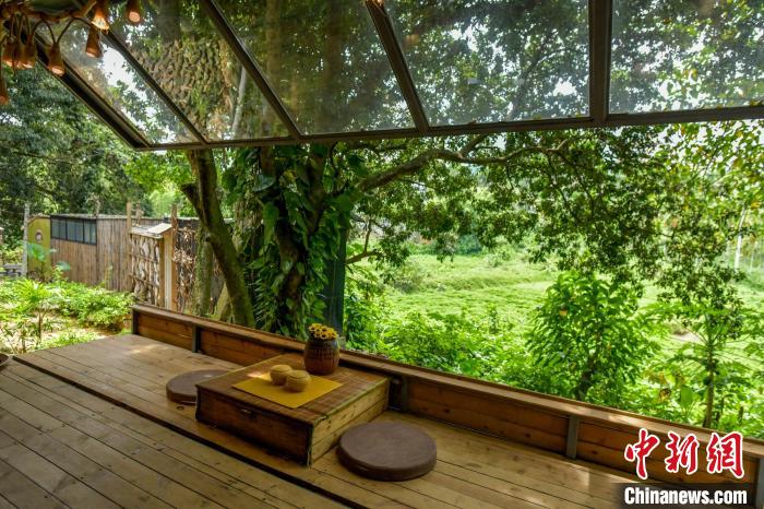 盒子書房白天能席地而坐聽鳥語蟬鳴，夜晚能看滿天星星?！●樤骑w 攝