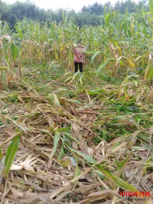 微信圖片_20210809152902.jpg 微信圖片_20210809152902.jpg