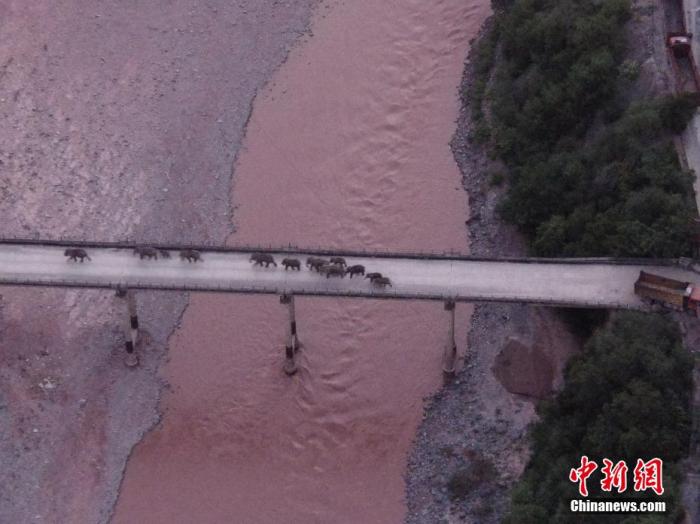 點(diǎn)擊進(jìn)入下一頁