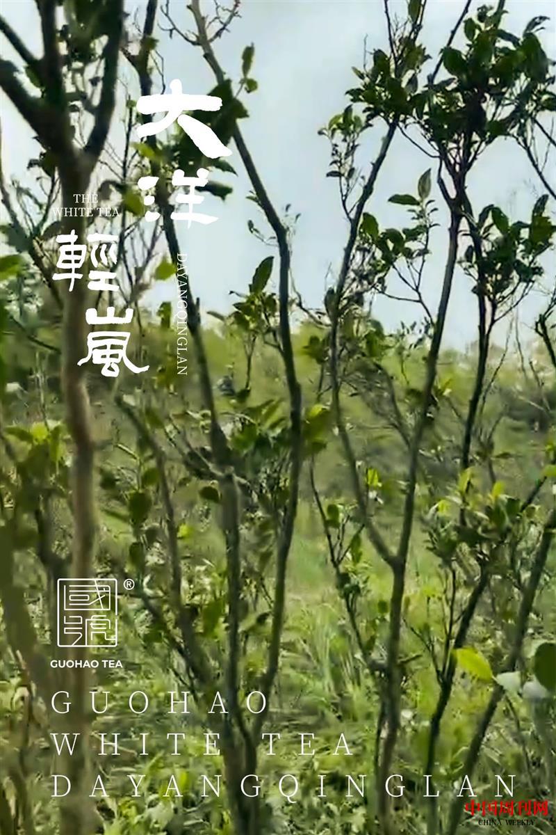 微信圖片_20210819160333.jpg 微信圖片_20210819160333.jpg