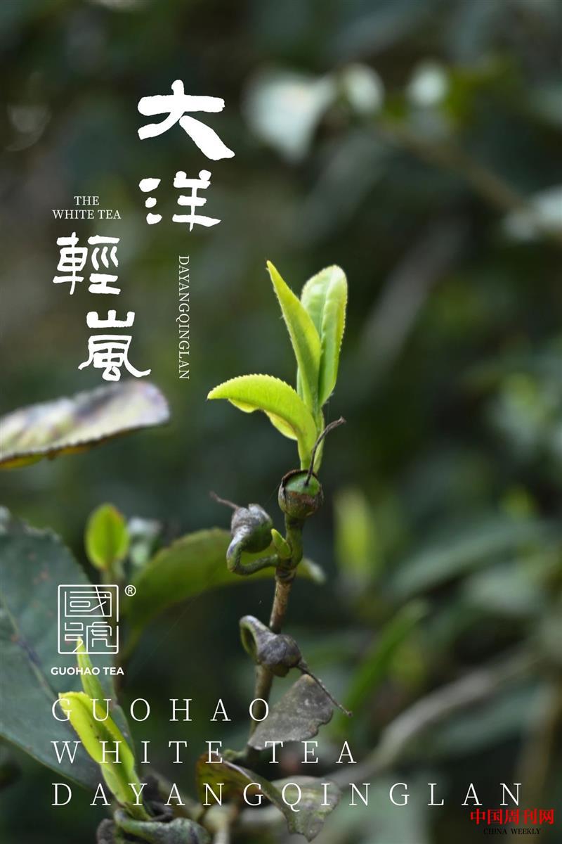 微信圖片_20210819160339.jpg 微信圖片_20210819160339.jpg