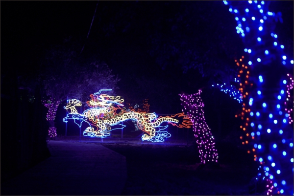 1632896658911131.jpg 3.jpg