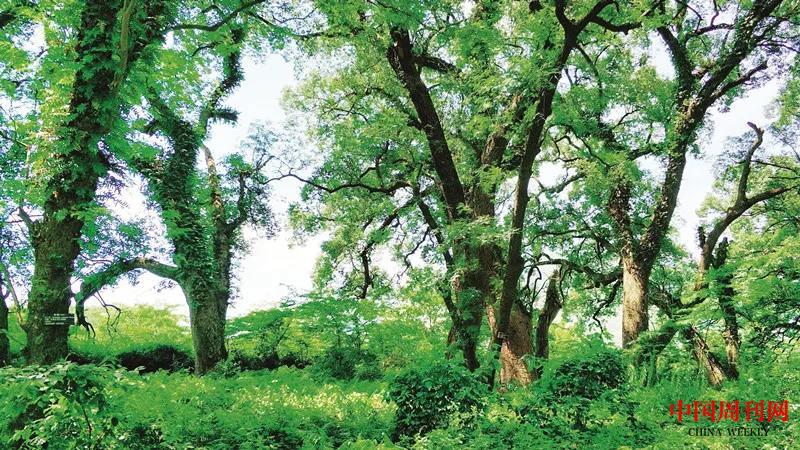 微信圖片_20211006222617.jpg 微信圖片_20211006222617.jpg