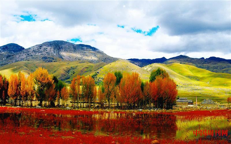 秋色.jpg 秋色.jpg