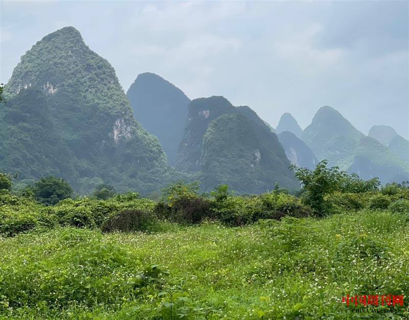 圖片8.png 圖片8.png