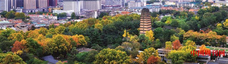 攝圖網(wǎng)_500723124_西安古城小雁塔秋色全景（企業(yè)商用）.jpg