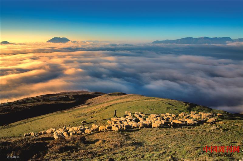 2-云海牧羊(永善宣傳部供圖).jpg 2-云海牧羊(永善宣傳部供圖).jpg