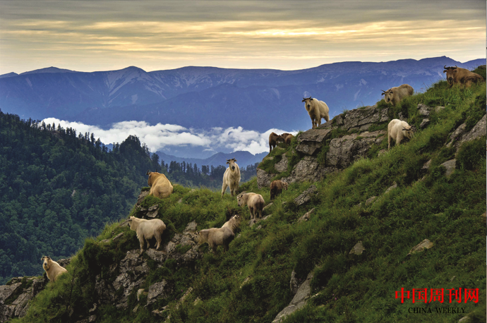 微信截圖_20220920153816.png 微信截圖_20220920153816.png