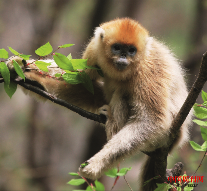 微信截圖_20220920154020.png 微信截圖_20220920154020.png