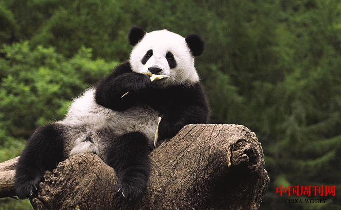 微信截圖_20220920154105.png 微信截圖_20220920154105.png