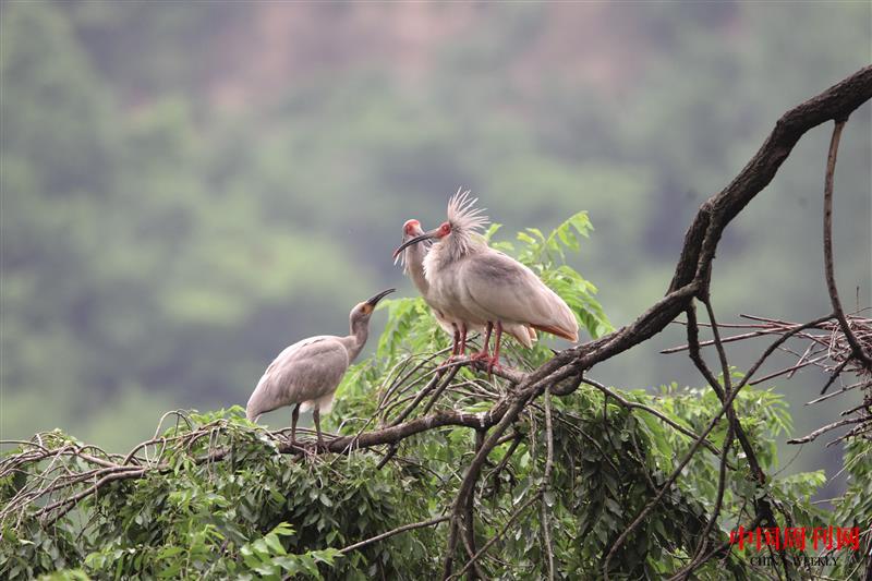 幸福時光  攝影張躍明.JPG