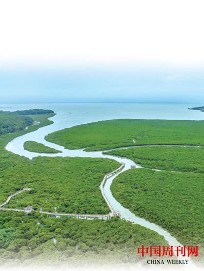 ca3c167204a21803889147fc6ff8683a_1676235848767_1.jpg ca3c167204a21803889147fc6ff8683a_1676235848767_1.jpg