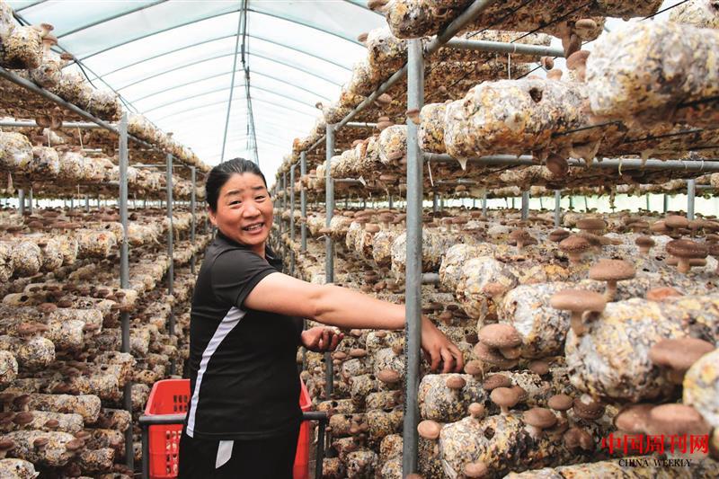 DSC_8100-078359946.jpg DSC_8100-078359946.jpg