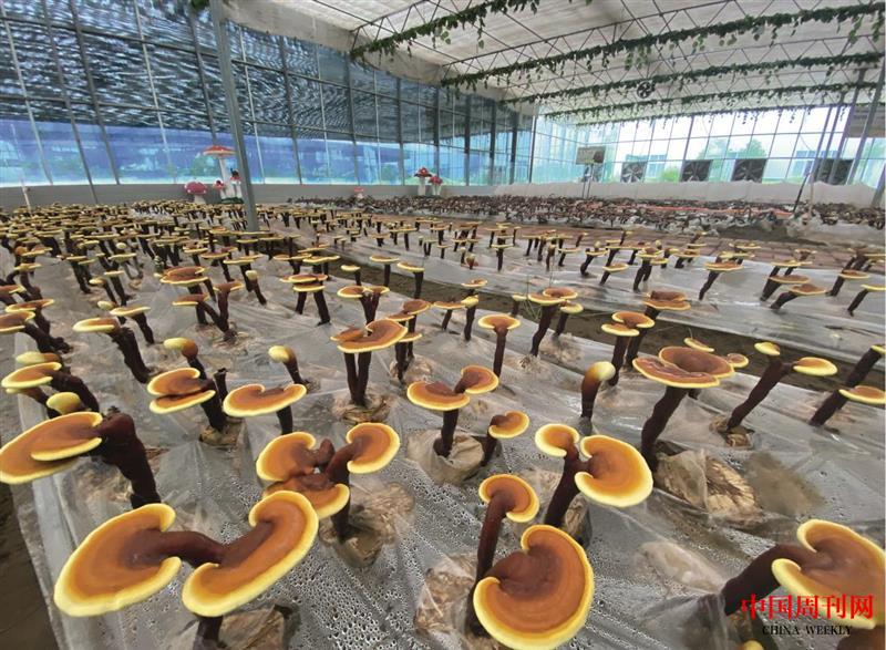 微信截圖_20230817144035.jpg 微信截圖_20230817144035.jpg