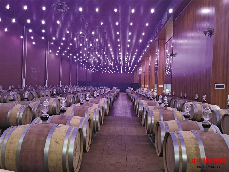 IMG_20230716_113623.jpg IMG_20230716_113623.jpg