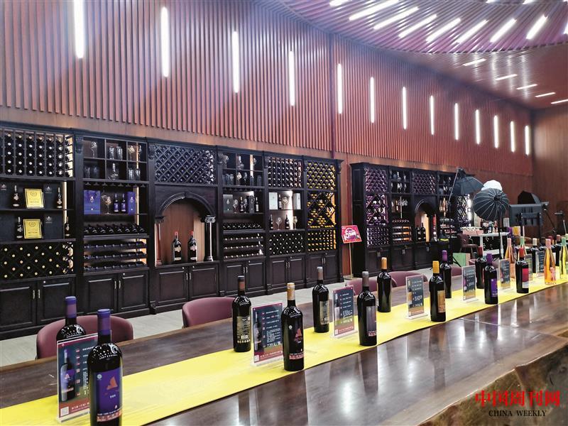 IMG_20230716_114529_edit_43583702133974.jpg IMG_20230716_114529_edit_43583702133974.jpg