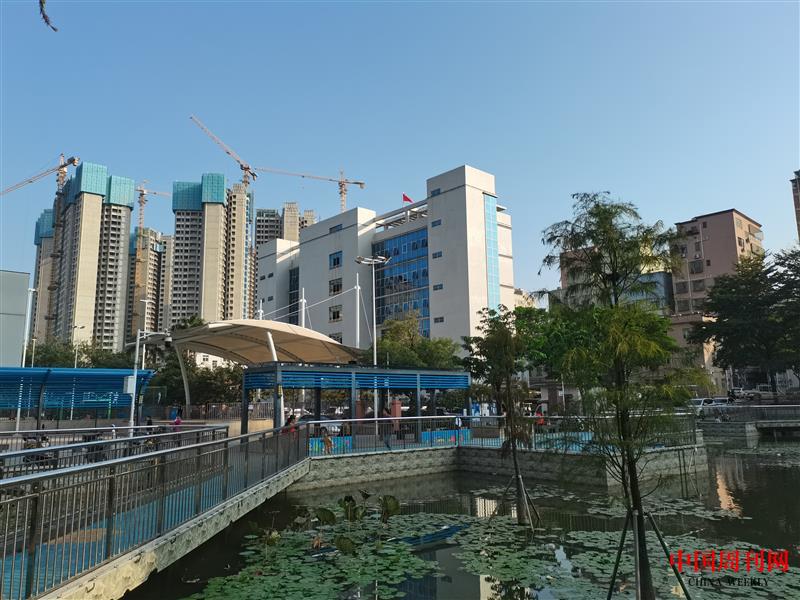 光明區(qū)鳳凰塘尾黨建引領(lǐng)謀發(fā)展 凝心聚力促振興