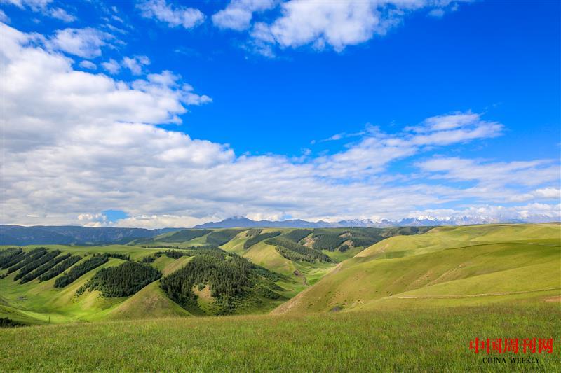 攝圖網(wǎng)_500526026_甘肅張掖康樂(lè)草原(企業(yè)商用).jpg 攝圖網(wǎng)_500526026_甘肅張掖康樂(lè)草原(企業(yè)商用).jpg