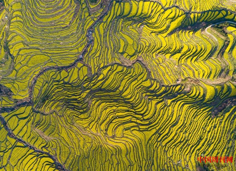 微信圖片_20250514141310.jpg 微信圖片_20250514141310.jpg